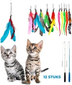 Merkloos 2 Kattenhengels Met 10 Speeltjes – Bewegende Kattenspeeltjes Met Veren En Belletjes – Interactieve Kattenspeelgoed Voor Kittens – Cat Toys