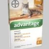 Advantage 40 Vlooiendruppels Kat Tot 4 Kg - 4 Pipetten 1 Advantage 40 Vlooiendruppels Kat Tot 4 Kg - 4 Pipetten -Kattenproducten 1034x1200 2