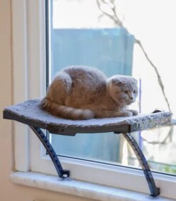 Hobipets - Kattenmand Raam - 5 Zuignappen - Hangmat Kat Raam -Kattenproducten 1049x1200 3