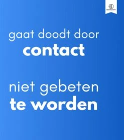 Essential Link Teken- En Vlooienband - Vlooienband Kat – Anti Vlooien – Vlooienmiddel - Tekenband - Diervriendelijk 17 Essential Link Teken- En Vlooienband - Vlooienband Kat – Anti Vlooien – Vlooienmiddel - Tekenband - Diervriendelijk -Kattenproducten 1058x1200