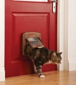 Petsafe Kattenluik 400 - Wit 23 Petsafe Kattenluik 400 - Wit -Kattenproducten 1069x1200