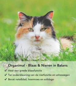 Organimal - Blaas En Nieren In Balans - Kat - O.a. Bij Blaasontsteking En Blaasgruis - 45 Tabletten A 700mg 7 Organimal - Blaas En Nieren In Balans - Kat - O.a. Bij Blaasontsteking En Blaasgruis - 45 Tabletten A 700mg -Kattenproducten 1071x1200 1