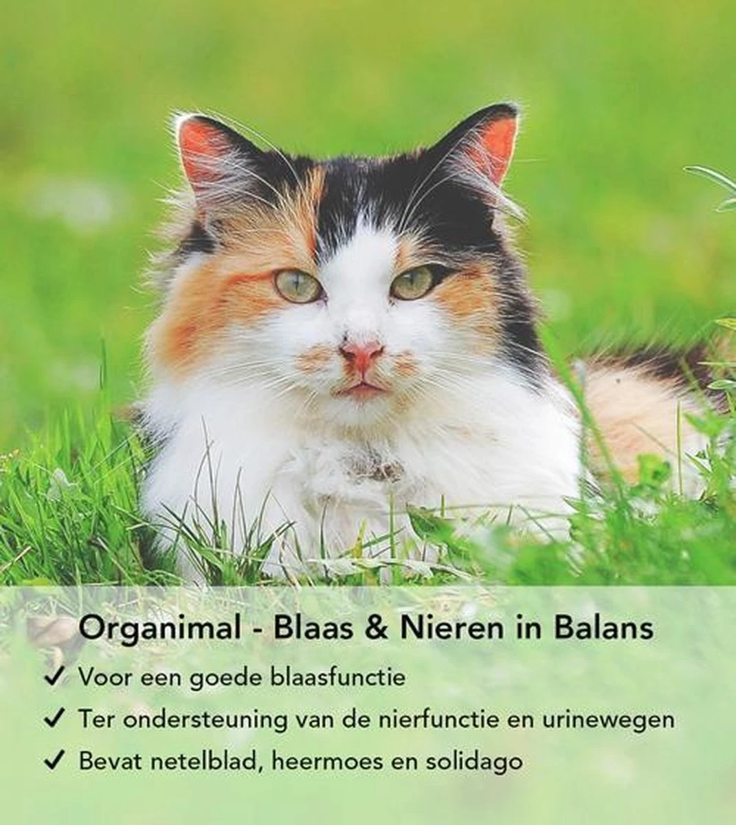 Organimal - Blaas En Nieren In Balans - Kat - O.a. Bij Blaasontsteking En Blaasgruis - 45 Tabletten A 700mg 5 Organimal - Blaas En Nieren In Balans - Kat - O.a. Bij Blaasontsteking En Blaasgruis - 45 Tabletten A 700mg - Afbeelding 3