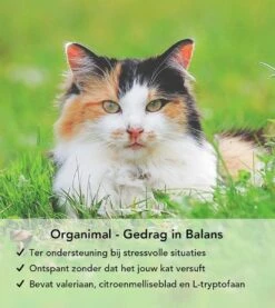 Gedrag In Balans - Kat - O.a. Bij Stress En Angst - 45 Tabletten A 400mg 8 Gedrag In Balans - Kat - O.a. Bij Stress En Angst - 45 Tabletten A 400mg -Kattenproducten 1071x1200 2