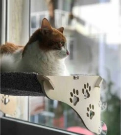 Merkloos Arnillo - Kattenhangmat - Kattenhangmat Raam - Kattenmand - Kattenbed - Kattenbed Raam - Kat Decoratie - Houten Kattenhangmat 11 Merkloos Arnillo - Kattenhangmat - Kattenhangmat Raam - Kattenmand - Kattenbed - Kattenbed Raam - Kat Decoratie - Houten Kattenhangmat -Kattenproducten 1076x1200 3