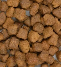 Carnis Kattenvoer Adult XL 7 Kg - Kat 5 Carnis Kattenvoer Adult XL 7 Kg - Kat -Kattenproducten 1088x1200