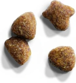 Iams Cat Adult - Vis & Kip - Kattenvoer - 10 Kg 8 Iams Cat Adult - Vis & Kip - Kattenvoer - 10 Kg -Kattenproducten 1102x1200