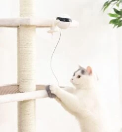 Merkloos Kattenspeelgoed - Katten Speelgoed - Katten Speeltje - Katten Bal - Katten - Kattenhengel - Kitten Speelgoed - Kattenspeeltjes - Elektrische - Muis - Automatische Hengel - Bal - Poes - Katten - Prooi - Kat - Poesjes - Interactief Kattenspeelgoed 13 Merkloos Kattenspeelgoed - Katten Speelgoed - Katten Speeltje - Katten Bal - Katten - Kattenhengel - Kitten Speelgoed - Kattenspeeltjes - Elektrische - Muis - Automatische Hengel - Bal - Poes - Katten - Prooi - Kat - Poesjes - Interactief Kattenspeelgoed -Kattenproducten 1105x1200 4