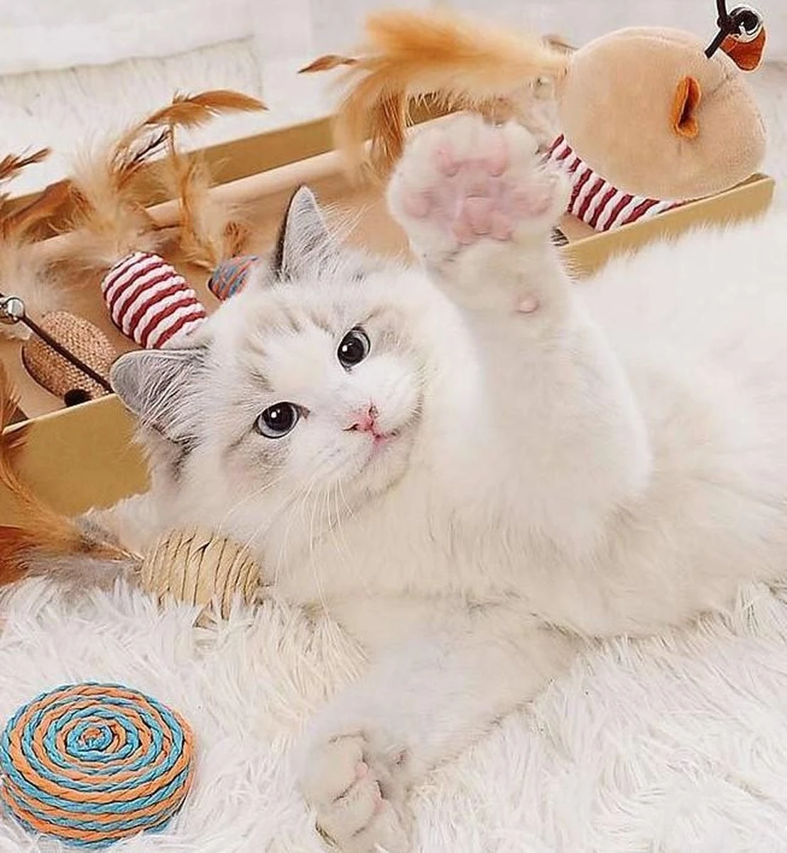 GIZMO Luxe Kattenspeeltjes Set - 7 Speeltjes - Interactieve Kattenhengel, Kattenspeelgoed & Speelmuisjes - Kitten Speeltjes 7 GIZMO Luxe Kattenspeeltjes Set - 7 Speeltjes - Interactieve Kattenhengel, Kattenspeelgoed & Speelmuisjes - Kitten Speeltjes - Afbeelding 6