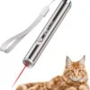 Laserpen - Kattenspeeltjes - Zaklamp - Kat - Laser - Kattenspeelgoed - RVS Opbergblikje -Kattenproducten 1108x1200 2