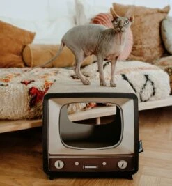 District 70 TELLY - Retro TV Krabmeubel - Instagrammable Kartonnen TV Voor Katten - 39 X 27 X 37 Cm 18 District 70 TELLY - Retro TV Krabmeubel - Instagrammable Kartonnen TV Voor Katten - 39 X 27 X 37 Cm -Kattenproducten 1112x1200 2