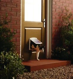 Petsafe 700 Kattenluik - S - Wit - 18.5 X 15.8 Cm 24 Petsafe 700 Kattenluik - S - Wit - 18.5 X 15.8 Cm -Kattenproducten 1122x1200 1