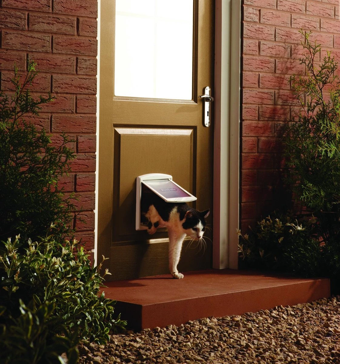 Petsafe 700 Kattenluik - S - Wit - 18.5 X 15.8 Cm 12 Petsafe 700 Kattenluik - S - Wit - 18.5 X 15.8 Cm - Afbeelding 10