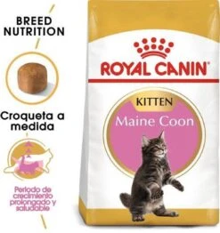 Royal Canin Maine Coon Kitten - Kattenvoer - 4 Kg 28 Royal Canin Maine Coon Kitten - Kattenvoer - 4 Kg -Kattenproducten 1132x1200