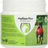 Excellent Psyllium Plus Hond - Ter Ondersteuning Bij Dunne Of Vastzittende Ontlasting Of Voor Het Stimuleren Van De Darmen - Geschikt Voor Honden - 100 Gram -Kattenproducten 1137x1200 1