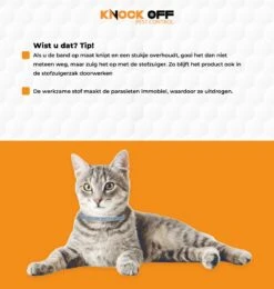 Knock Off Vlooien-tekenband – 100% Natuurlijke Vlooienbestrijding - Zonder Schadelijke Pesticiden Of Gif – Effectief Tot 4 Maanden – Nederlands- En Franstalige Handleiding – Regen- En Waterbestendig - Geschikt Voor Katten – 35 Cm 8 Knock Off Vlooien-tekenband – 100% Natuurlijke Vlooienbestrijding - Zonder Schadelijke Pesticiden Of Gif – Effectief Tot 4 Maanden – Nederlands- En Franstalige Handleiding – Regen- En Waterbestendig - Geschikt Voor Katten – 35 Cm -Kattenproducten 1139x1200 2
