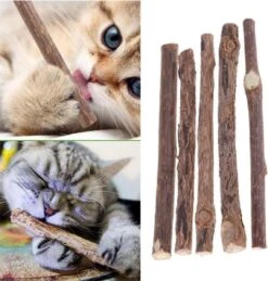 Matatabi Kauwstaafjes Voor Katten - 5x Matabi Stokjes - Kattenspeelgoed - 100% Natuurlijke Sticks - Plantaardig - Silver Vine Kauwstaven Voor Kittens - Kattenkruid Effect - Gebitsverzorging - 5 Stuks Vardaan Kauwstaven Voor Katten - XS - 11 Cm 13 Matatabi Kauwstaafjes Voor Katten - 5x Matabi Stokjes - Kattenspeelgoed - 100% Natuurlijke Sticks - Plantaardig - Silver Vine Kauwstaven Voor Kittens - Kattenkruid Effect - Gebitsverzorging - 5 Stuks Vardaan Kauwstaven Voor Katten - XS - 11 Cm -Kattenproducten 1143x1200