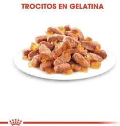 Royal Canin Kitten In Jelly - Kattenvoer - 1020 G 30 Royal Canin Kitten In Jelly - Kattenvoer - 1020 G -Kattenproducten 1149x1200 1