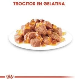 Royal Canin Sterilised In Jelly - Kattenvoer - 1020 G 20 Royal Canin Sterilised In Jelly - Kattenvoer - 1020 G -Kattenproducten 1149x1200