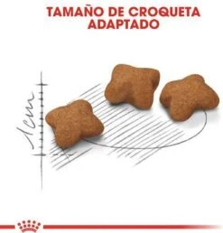 Royal Canin Kitten Sterilised - Kattenvoer - 2 Kg -Kattenproducten 1151x1200 1