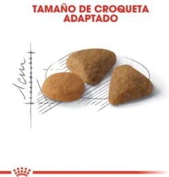 Royal Canin Savour Exigent - Kattenvoer - 4 Kg -Kattenproducten 1151x1200 2