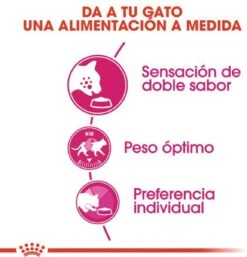 Royal Canin Savour Exigent - Kattenvoer - 4 Kg -Kattenproducten 1154x1200 4