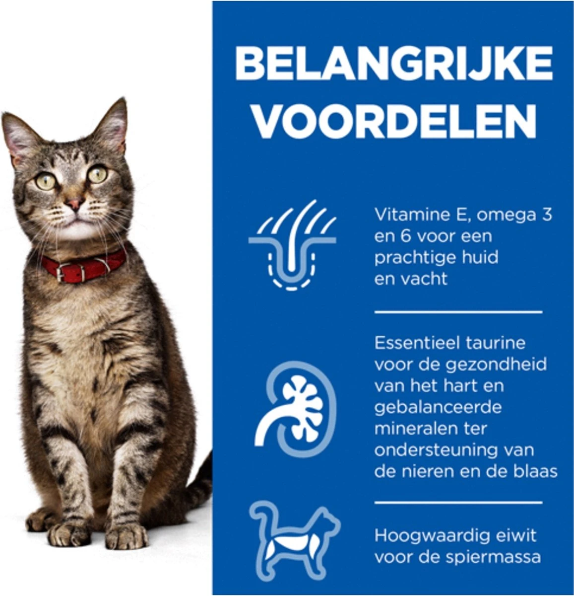 Hill's Feline Adult Kip - Kattenvoer - 7 Kg 4 Hill's Feline Adult Kip - Kattenvoer - 7 Kg - Afbeelding 2