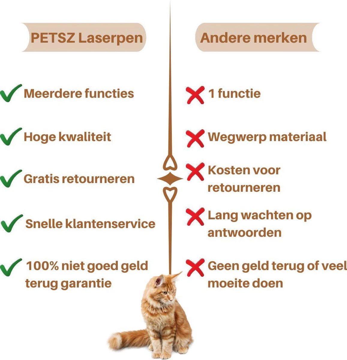 Laserpen - USB - Kattenspeeltjes - Zaklamp - Kat - Laser - Kattenspeelgoed - RVS Opbergblikje 7 Laserpen - USB - Kattenspeeltjes - Zaklamp - Kat - Laser - Kattenspeelgoed - RVS Opbergblikje - Afbeelding 5