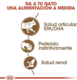 Royal Canin Wet Ageing 12+ (12X85 GR) -Kattenproducten 1158x1200