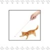 Merkloos EPIN | Kat Laserlampje | Kattenspeelgoed | Laserlamp |Met Mini Zaklamp 2 In 1 | Batterijen Inbegrepen | ZWART -Kattenproducten 1164x1200 12