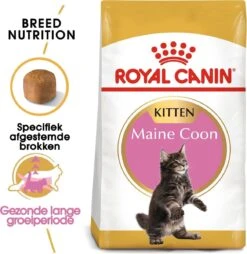 Royal Canin Maine Coon Kitten - Kattenvoer - 4 Kg 18 Royal Canin Maine Coon Kitten - Kattenvoer - 4 Kg -Kattenproducten 1167x1200 1