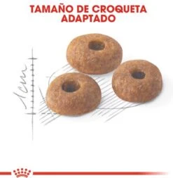 Royal Canin Fit 32 4 Kg -Kattenproducten 1173x1200 1