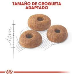 Royal Canin Fit 32 - Kattenvoer - 10 Kg 22 Royal Canin Fit 32 - Kattenvoer - 10 Kg -Kattenproducten 1173x1200