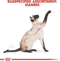 Royal Canin Siamese Adult - Kattenvoer - 4 Kg 17 Royal Canin Siamese Adult - Kattenvoer - 4 Kg -Kattenproducten 1178x1200