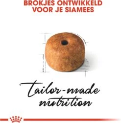 Royal Canin Siamese Adult - Kattenvoer - 4 Kg 15 Royal Canin Siamese Adult - Kattenvoer - 4 Kg -Kattenproducten 1179x1200 1