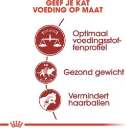 Royal Canin Fit 32 - Kattenvoer - 10 Kg 19 Royal Canin Fit 32 - Kattenvoer - 10 Kg -Kattenproducten 1179x1200 2