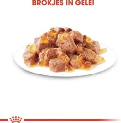 Royal Canin Sterilised In Jelly - Kattenvoer - 1020 G 24 Royal Canin Sterilised In Jelly - Kattenvoer - 1020 G -Kattenproducten 1179x1200 3