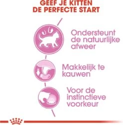 Royal Canin Kitten In Jelly - Kattenvoer - 1020 G 25 Royal Canin Kitten In Jelly - Kattenvoer - 1020 G -Kattenproducten 1179x1200 4