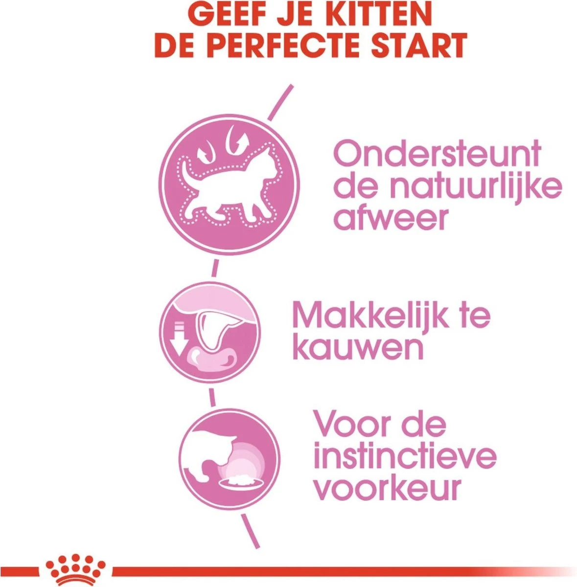 Royal Canin Kitten In Jelly - Kattenvoer - 1020 G 6 Royal Canin Kitten In Jelly - Kattenvoer - 1020 G - Afbeelding 4