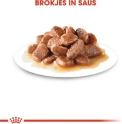 Royal Canin Wet Ageing 12+ (12X85 GR) -Kattenproducten 1179x1200 5