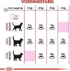 Royal Canin Savour Exigent - Kattenvoer - 4 Kg -Kattenproducten 1179x1200 6