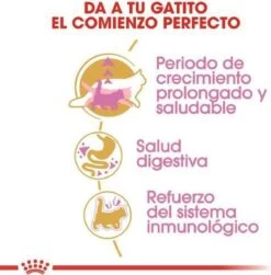 Royal Canin Maine Coon Kitten - Kattenvoer - 4 Kg 22 Royal Canin Maine Coon Kitten - Kattenvoer - 4 Kg -Kattenproducten 1180x1200 4