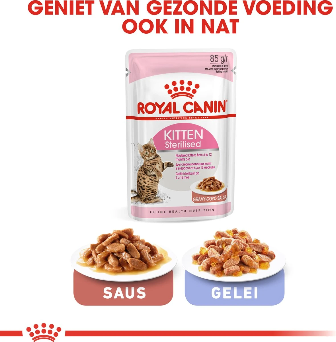 Royal Canin Kitten Sterilised - Kattenvoer - 3,5 Kg 9 Royal Canin Kitten Sterilised - Kattenvoer - 3,5 Kg - Afbeelding 7