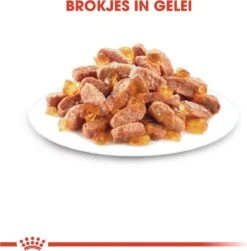 Royal Canin Kitten In Jelly - Kattenvoer - 1020 G 24 Royal Canin Kitten In Jelly - Kattenvoer - 1020 G -Kattenproducten 1183x1200
