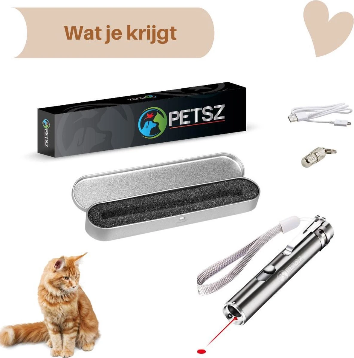 Laserpen - USB - Kattenspeeltjes - Zaklamp - Kat - Laser - Kattenspeelgoed - RVS Opbergblikje 8 Laserpen - USB - Kattenspeeltjes - Zaklamp - Kat - Laser - Kattenspeelgoed - RVS Opbergblikje - Afbeelding 6
