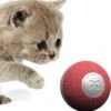 Cheerble Mini Ball 2.0 - Slimme Interactieve Zelf Rollende Bal Voor Katten - 3 Speelmodi - Kattenspeeltjes - USB Oplaadbaar - Rood 1 Cheerble Mini Ball 2.0 - Slimme Interactieve Zelf Rollende Bal Voor Katten - 3 Speelmodi - Kattenspeeltjes - USB Oplaadbaar - Rood -Kattenproducten 1184x1200 3