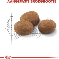 Royal Canin Sterilised 7+ - Kattenvoer - 10 Kg 19 Royal Canin Sterilised 7+ - Kattenvoer - 10 Kg -Kattenproducten 1185x1200 1