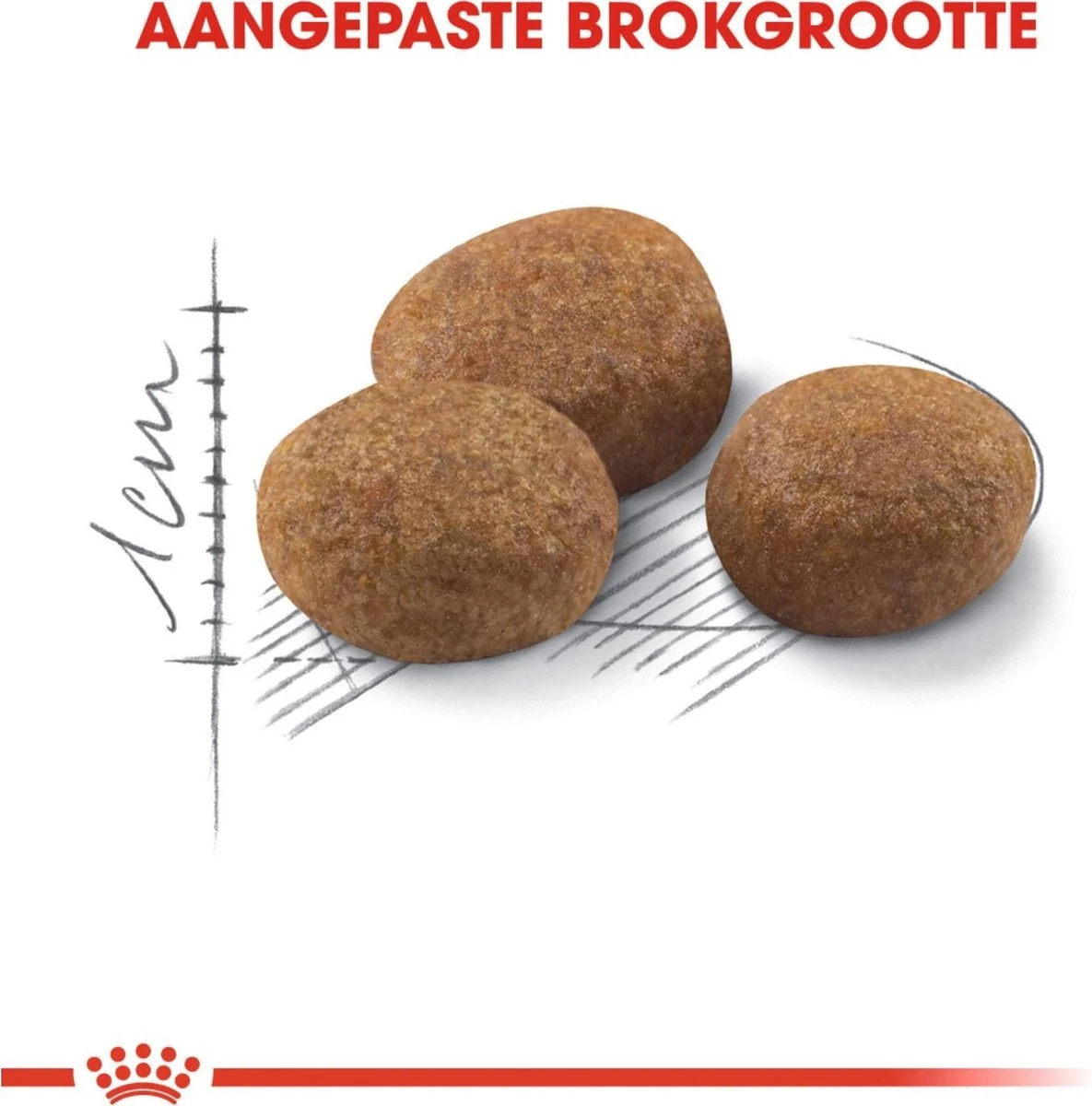 Royal Canin Sterilised 7+ - Kattenvoer - 10 Kg 6 Royal Canin Sterilised 7+ - Kattenvoer - 10 Kg - Afbeelding 4