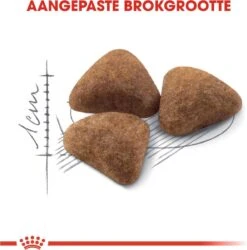 Royal Canin Indoor 27 - Kattenvoer - 4 Kg -Kattenproducten 1185x1200