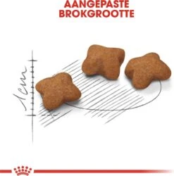 Royal Canin Kitten Sterilised - Kattenvoer - 2 Kg -Kattenproducten 1186x1200 4